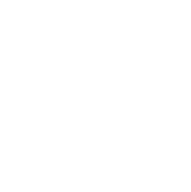 Иконка решения
